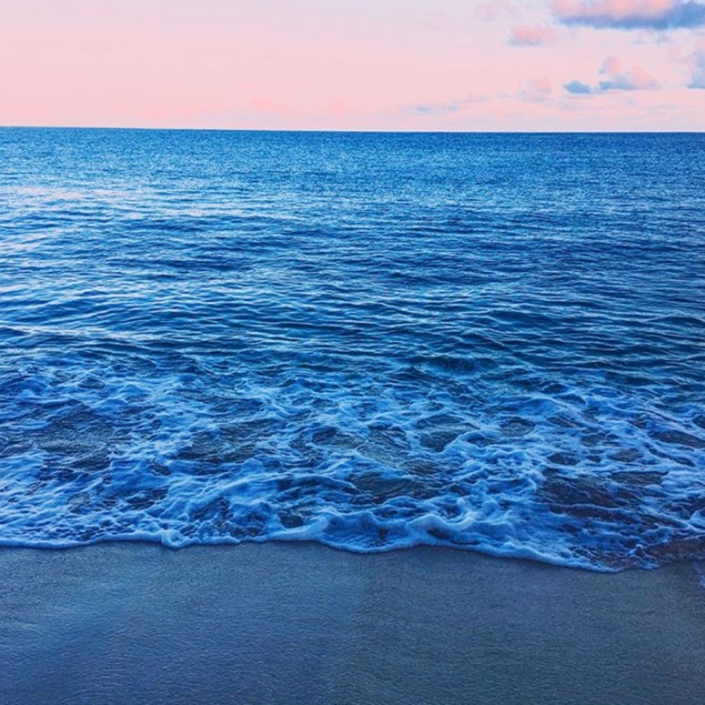 Meet your Posher, Kat